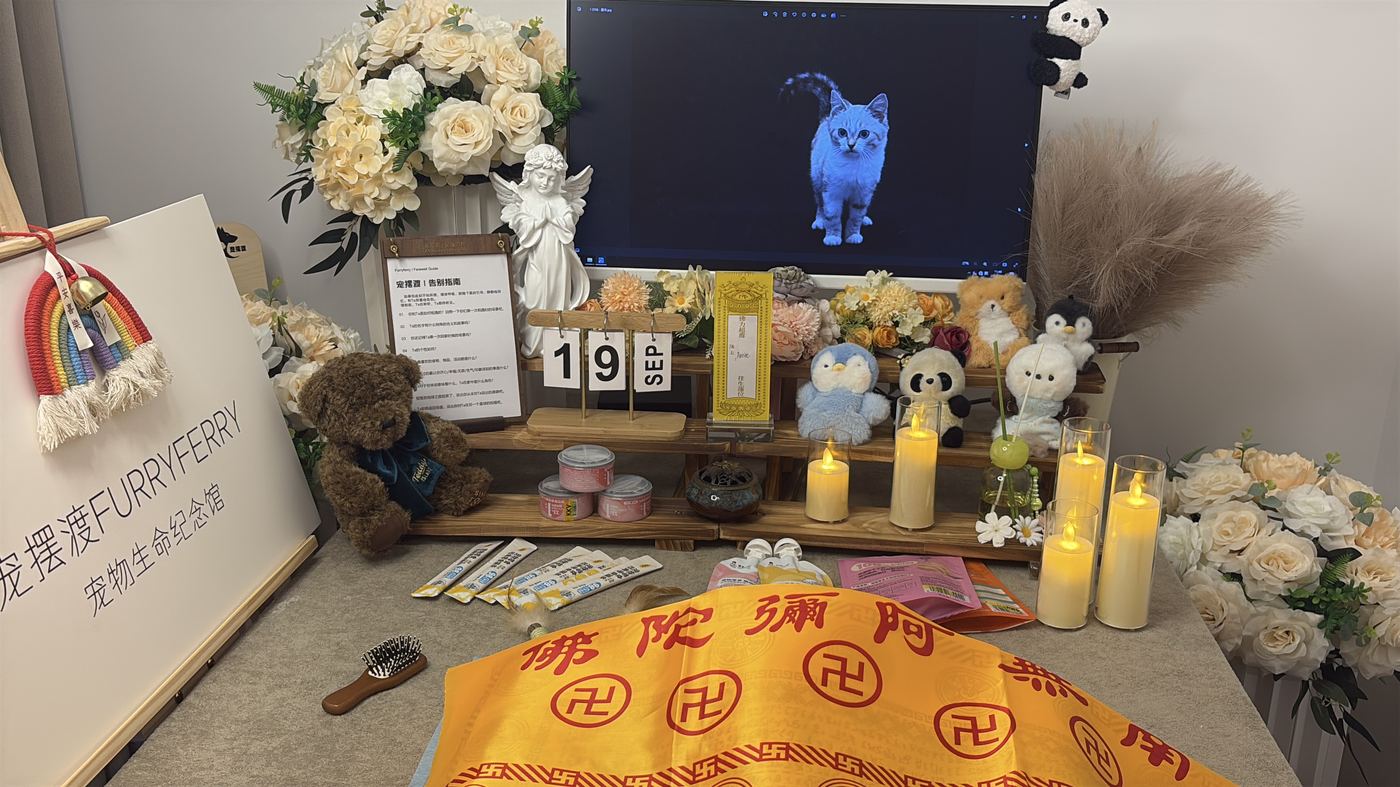哈尔滨宠物火化多少钱？冰城火化收费全解析