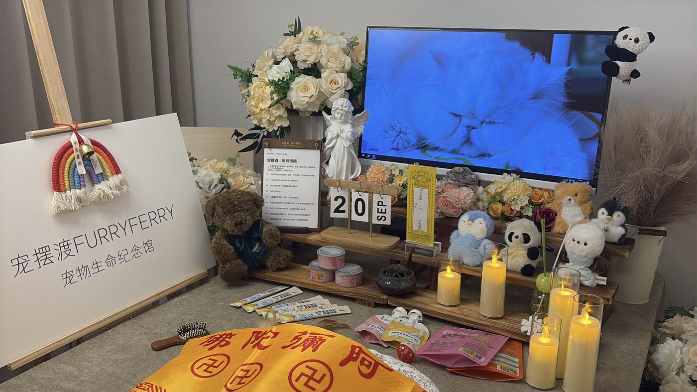流程是否清晰可查