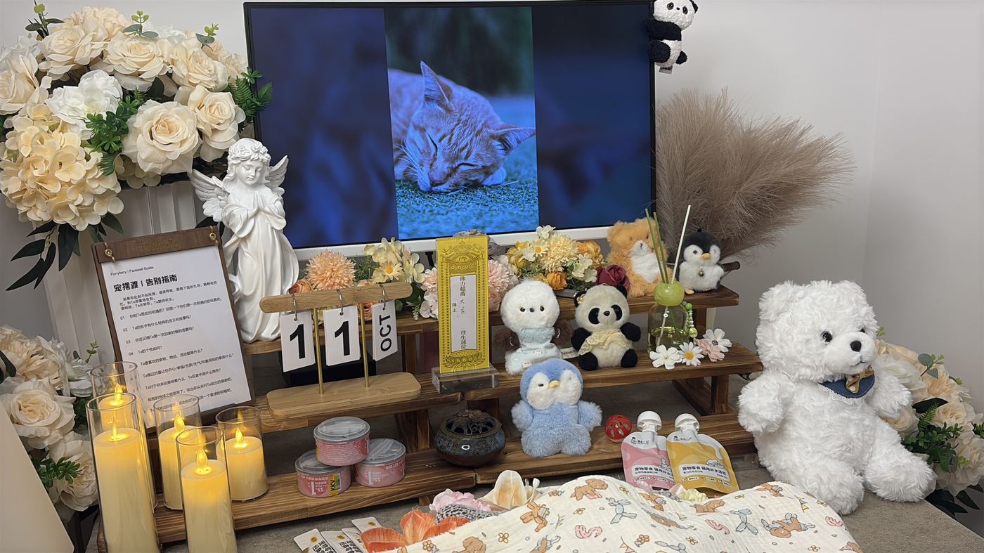 猫咪后事的处理方式