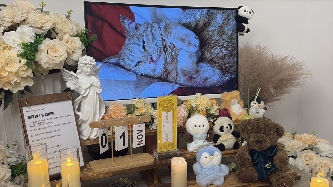 哈尔滨香坊区接回中心