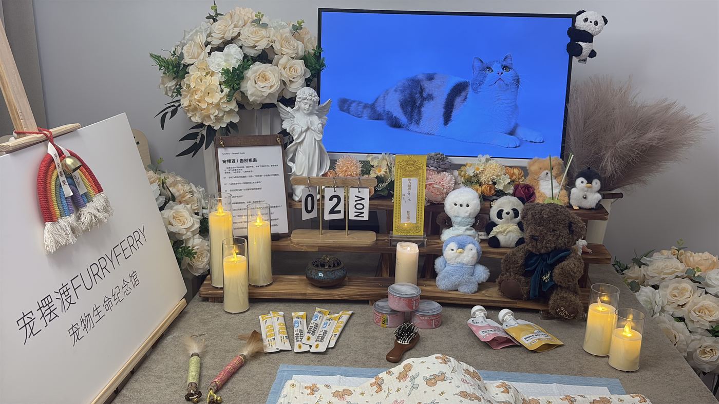 哈尔滨宠物上门接回服务：24小时响应流程说明